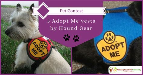 Hatching eggs is the primary way of unlocking pets and operate similarly to gifts but take longer to hatch. Pet Contest-Register to win Adopt Me vests by Hound Gear ...