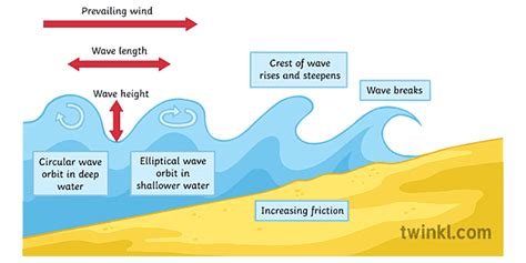 Wave Formation Labelled Illustration Twinkl
