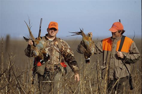10 Hunting Tips To Bagging More Pheasants Game And Fish