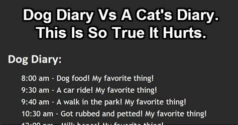 Dog Diary Comparison Vs Cat Diary Who Said Cats Are Evil We Love