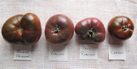 Heirloom Tomato Varieties 2012 Roundup And Summary