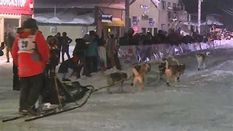 Dog Dies Of Pneumonia After Competing In Iditarod Sled Race