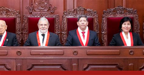 Se añade que esta es de índole política destinada a determinar si la conducta personal del ciudadano que ejerce el cargo de presidente de la república corresponde a la. "El Todopoderoso": TRIBUNAL CONSTITUCIONAL DEL PERÚ ...