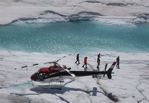 Denali Helicopter Tour And Glacier Landing Alaska Shore Excursions