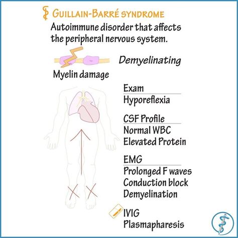 Guillain Barre Syndrome Effects And Exam Results Pathology
