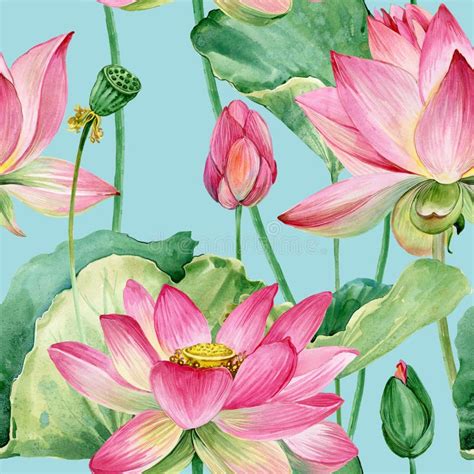 Lotus Flowers Seamless Pattern Watercolor Botanical Illustration