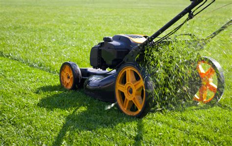 Lawn Mowing Tips To Prevent Damage To Your Lawn Turf Seed And Turf