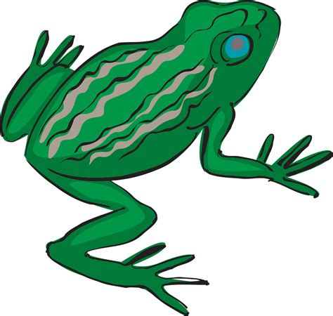 超过 80 张关于“frog Jump”和“青蛙”的免费图片 Pixabay