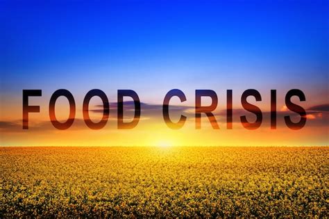 Premium Photo Global Food Crisis And Crop Failure Military Conflict