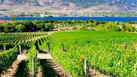 Okanagan Valley Named Among Best Wine Regions To Visit In The World