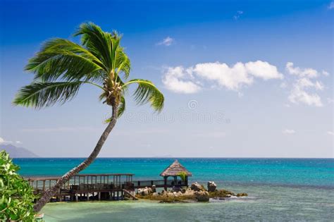 Tropical Seascape View Stock Photo Image Of Climate 20776762