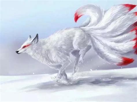 Nine Tailed White Fox Anime Girl