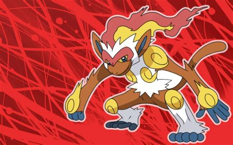 Competitive Spotlight Infernape Pokémon Amino