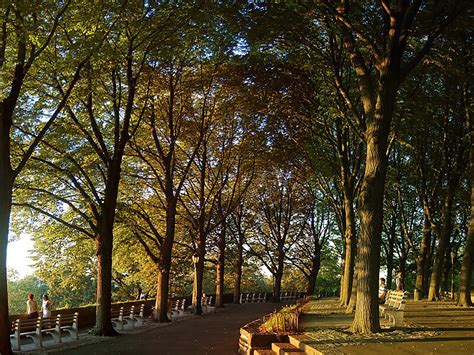 Fort Tryon Park In Manhattan New York City United States Sygic Travel