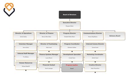 Nonprofit Org Charts Strategies Structures Tips Orgchart