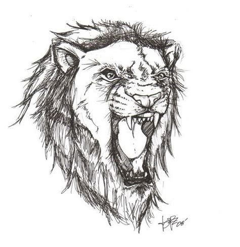 Lion Mouth Open Drawing At Explore Collection Of