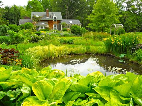 Farm Pond Andrew Grossman Landscape Design
