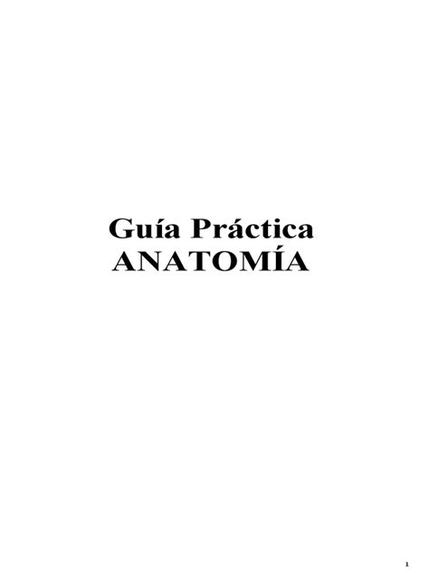 Guia Practica Anatomia Pdf