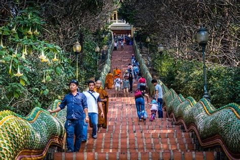 Guide To Doi Suthep Pui National Park Tour Trazy Blog
