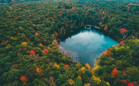 Wallpaper 2100x1315 Px Aerial View Blue Colorful Fall Forest