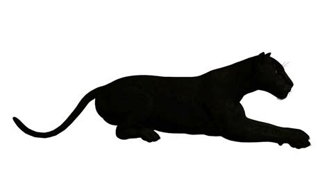 Panther Silhouette Clip Art At Getdrawings Free Download