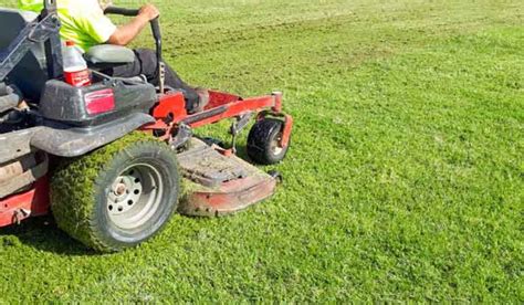 Grass Mowing Affordable Rates