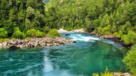 Turquoise Color River Trees Water Forest Ultra 3840x2160 Hd Wallpaper