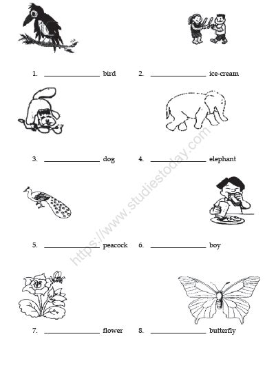 Cbse Class 3 English The Enormous Turnip Worksheet