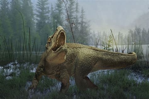 10 Facts About Tyrannosaurus Rex King Of The Dinosaurs