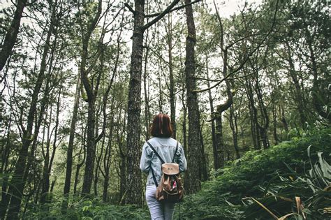 Free Images Nature Forest Wilderness Walking Person Woman Trail