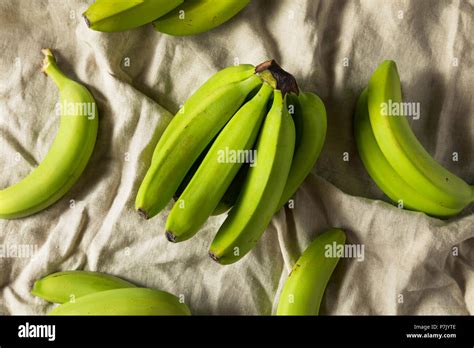 Organic Raw Green Unripe Bananas In A Bunch Stock Photo Alamy