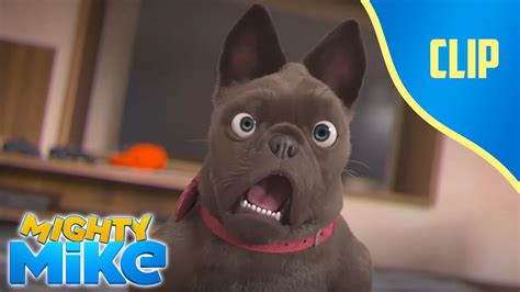 Meanwhile, iris must prevent the kitten from getting into dangerous. Mike and the other pug - Mighty Mike - Cartoon Animation ...