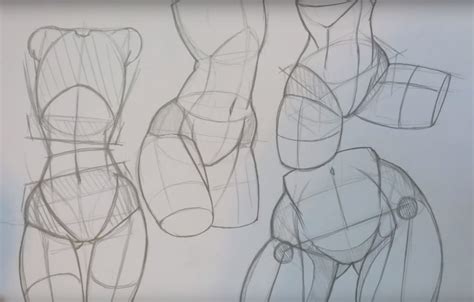 Resultado De Imagen Para Draw Legs Drawing Body Proportions Drawing