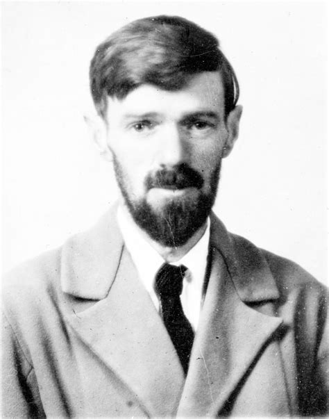 D H Lawrence Wikipedia