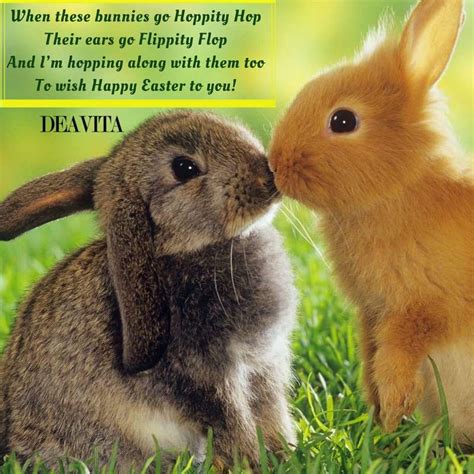 Super Fun Easter Greeting Cards And Quotes Send Your Holiday Greetings