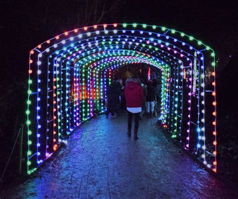 Christmas Light Tunnel In The Gardens At Dunham Massey Flickr