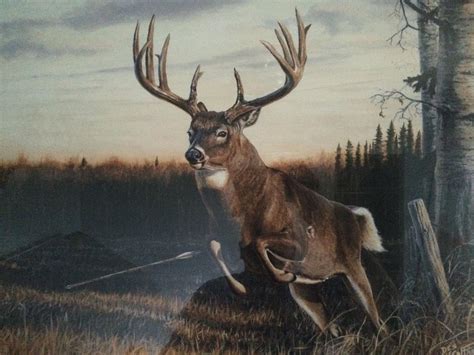 Kill Zone V 5 Whitetail Deer By Artist Desmond Mccaffrey Bow Hunting