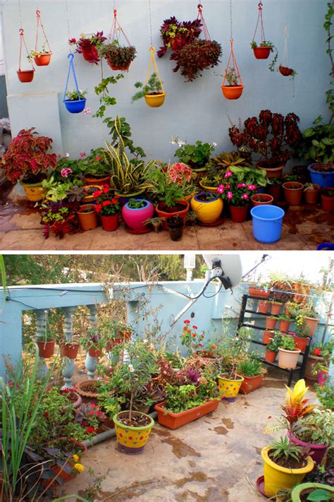 If you enjoy home garden tours, this is the post for you. Garden Tour: Madhu's Colorful Terrace Garden | dress your home