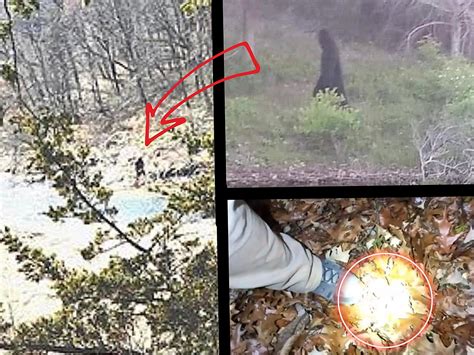 3 Times Bigfoot Sightings Went Viral In Iowa