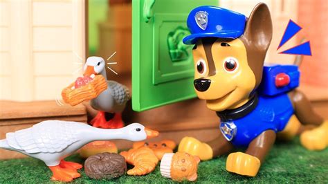 Paw Patroll Toys 🐾 The Gooses Steal Bread From The Bakery 🍩🍪 Youtube