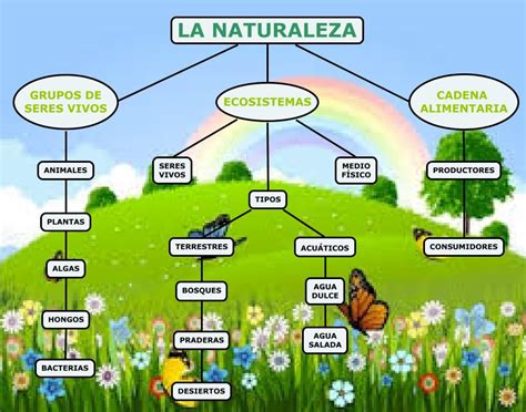 La Libreta De Antonio La Naturaleza Mapa Conceptual