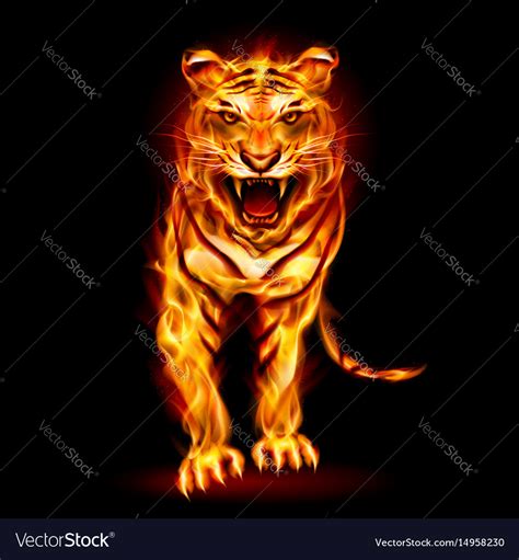 Fire Tiger On Black Background For Design Vector Image