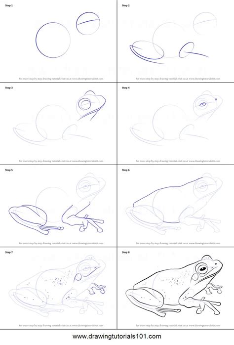 How To Draw A Tree Frog At Drawing Tutorials