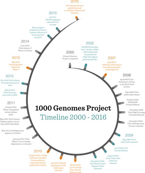 1000 Timeline Portrait Free Transparent Png Download Pngkey