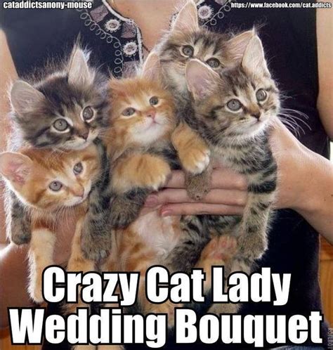 Crazy Cat Lady Wedding Bouquet Wonderful Wedding Stuffs
