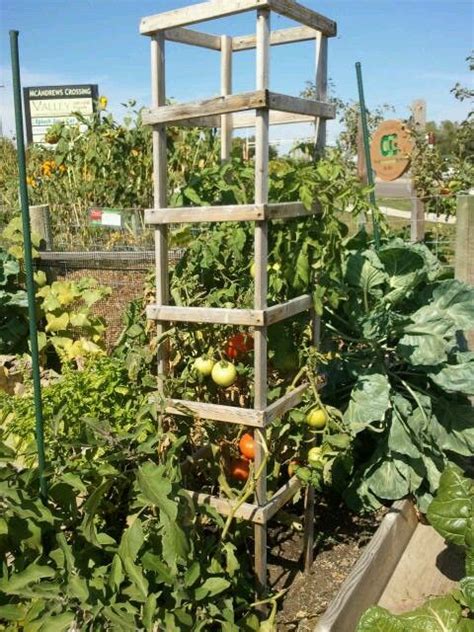 Tomato Tower Design 6ft Tall Outdoor Gardens Garden And Yard