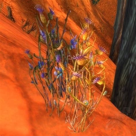Bruiseweed Object Classic World Of Warcraft