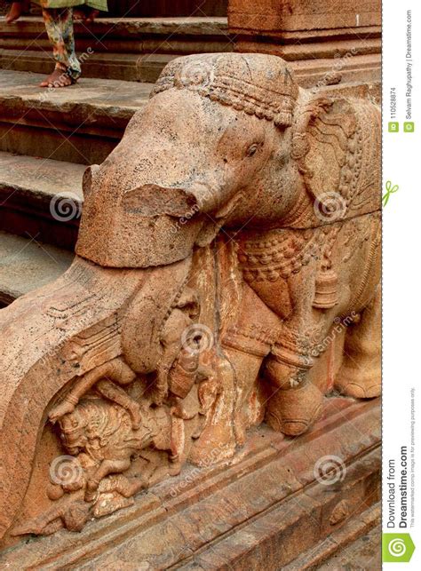 Escultura De Pedra Das Etapas Da Pedra Do Elefante No Templo Antigo De Brihadisvara Em Thanjavur