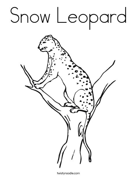 Make a coloring book with snow leopard for one click. Snow Leopard Coloring Page - Twisty Noodle