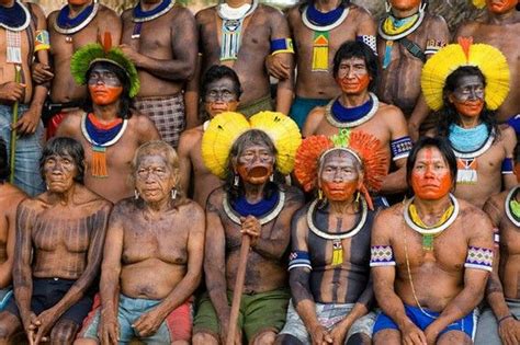 Brazilian Tribes Ap World History Ancient World History History